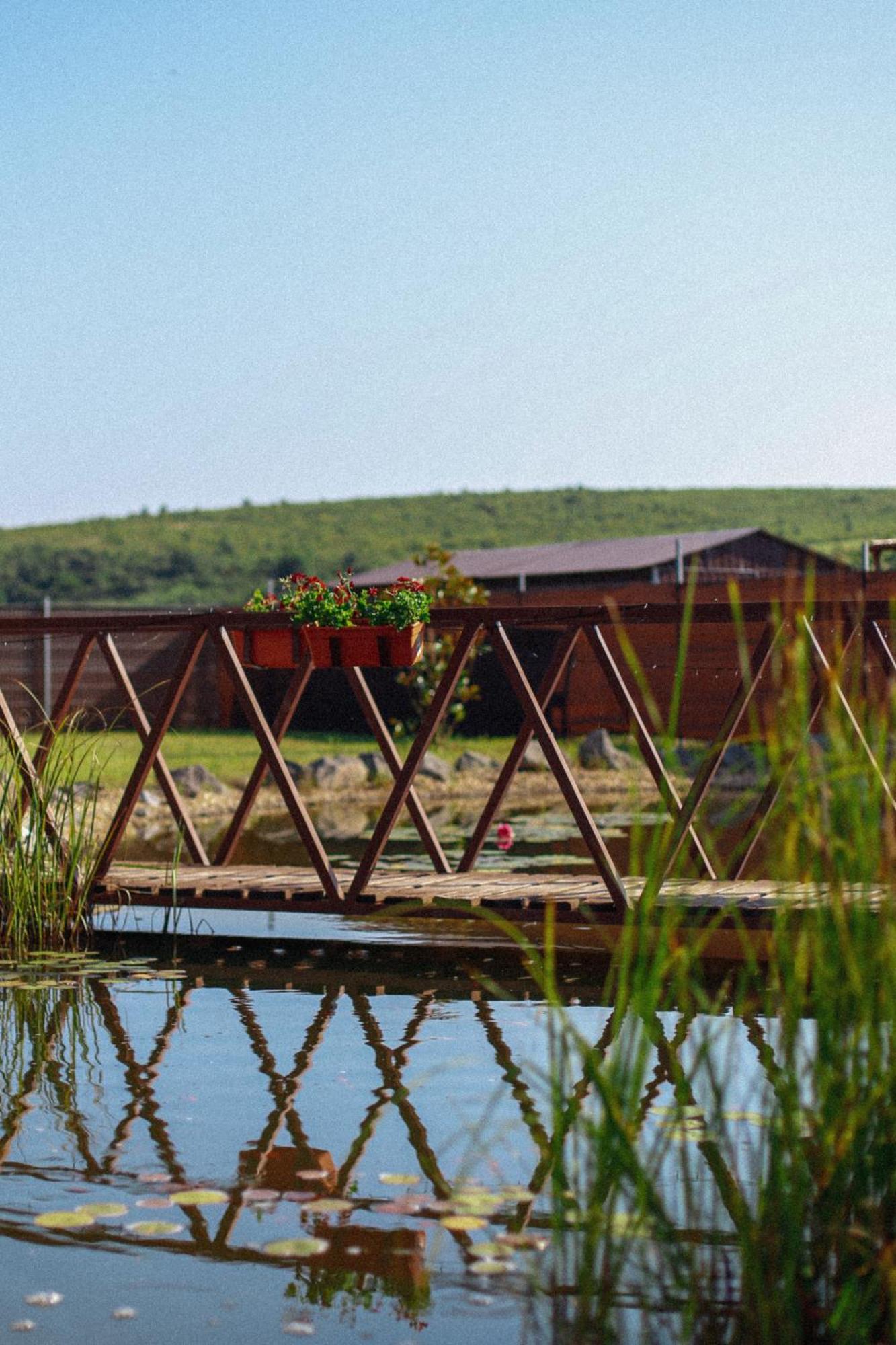 Megnyugtat-lak Apartmanház Demjén Exterior foto